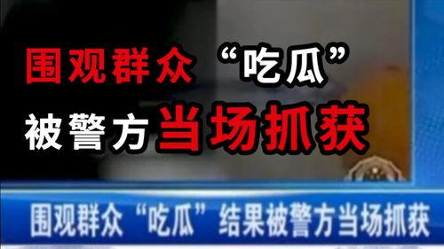 吃瓜新闻媒体官网首页,聚焦热点，揭秘幕后，带你领略娱乐圈风云变幻