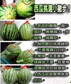 在哪吃网红瓜好吃又健康,网红瓜的绝佳品尝地