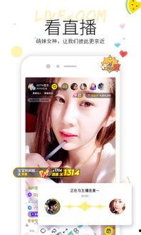 网红结婚吃瓜视频大全下载,吃瓜视频大全下载攻略